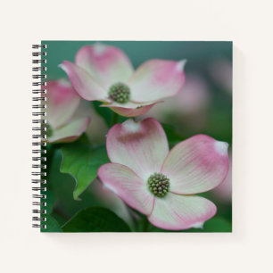 Flowers   Dogwood Blossoms Notebook