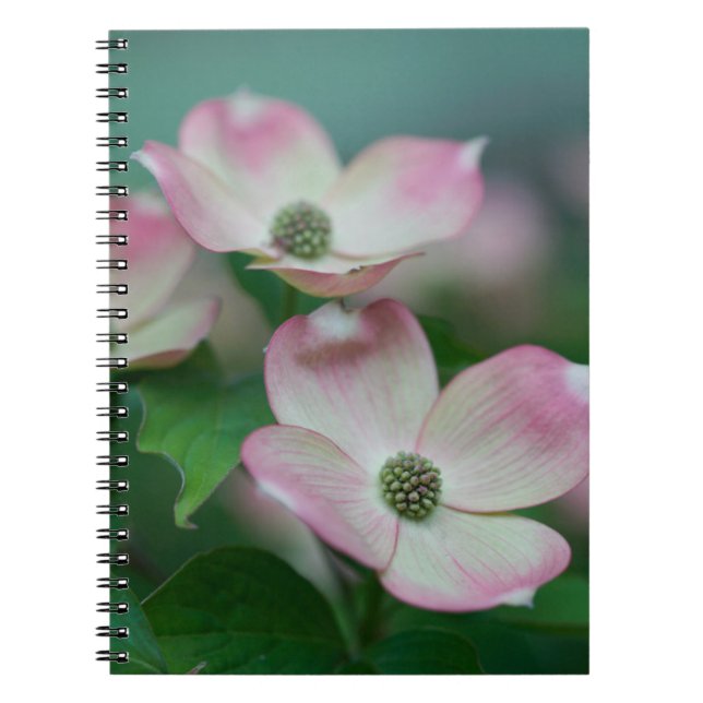 Flowers | Dogwood Blossoms Notebook (Front)