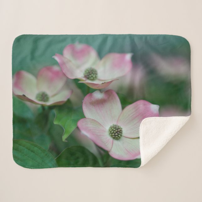 Flowers | Dogwood Blossoms Sherpa Blanket (Front (Horizontal))