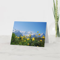 Flowers | Eiger Monch Swiss Alps