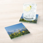 Flowers | Eiger Monch Swiss Alps Glass Coaster<br><div class="desc">This amazing Getty Images photo features the landscape of meadow with yellow flowers in the Swiss Alps in front of famous mountains Eiger Monch Jungfrau near Grindelwald and Interlaken.</div>