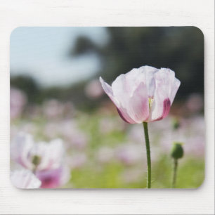 Flowers field with close-up blooming lilac flower. mouse mat