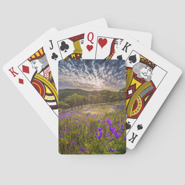 Flowers | Flinders Ranges Australia Playing Cards (Back)