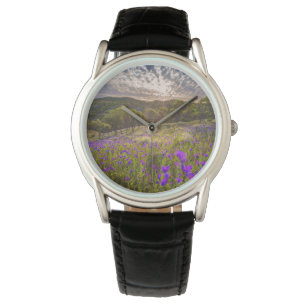 Flowers Flinders Ranges Australia Watch