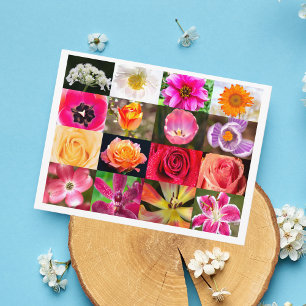 Flowers, Flowers Everywhere Postcard