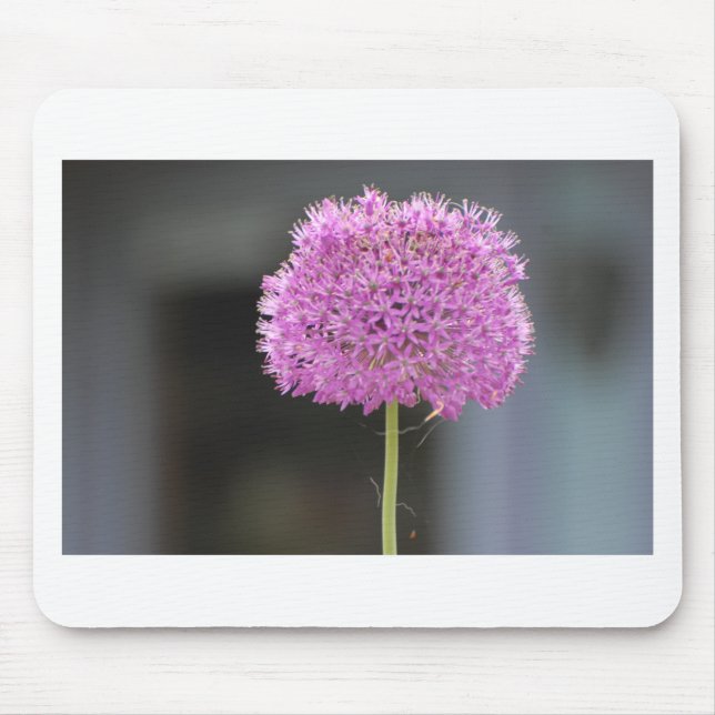 Flowers for All Mouse Mat (Front)