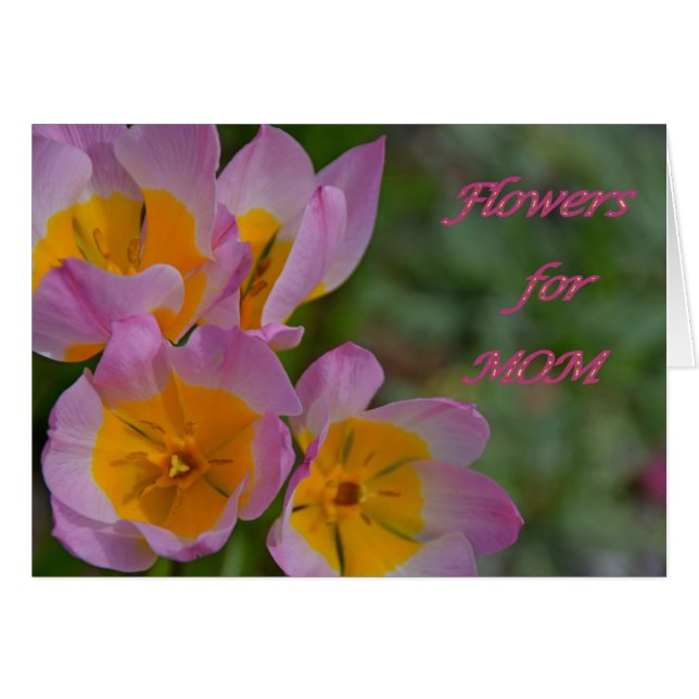 Flowers for Mum (Front Horizontal)