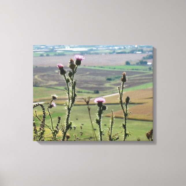Flowers from on top of "The Mound" Platteville Wi Canvas Print (Front)