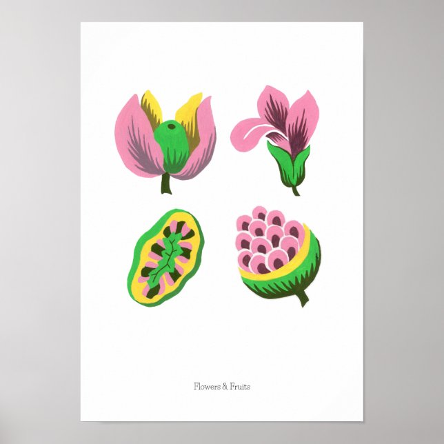 Flowers & Fruits Poster (Front)