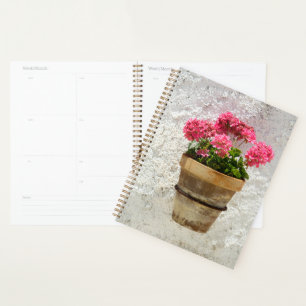 Flowers Geranium In Flower in Pot Planner