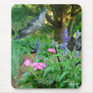 Flowers Geraniums Mousepad