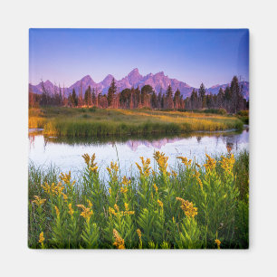 Flowers   Grand Teton National Park, Wyoming Magnet