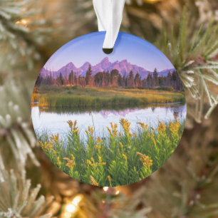 Flowers   Grand Teton National Park, Wyoming Ornament