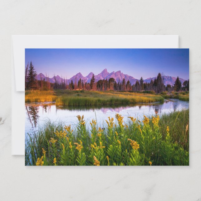 Flowers | Grand Teton National Park, Wyoming Thank You Card (Front)