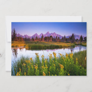Flowers   Grand Teton National Park, Wyoming Thank You Card