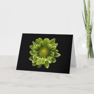 Flowers Green Chrysanthemum Card
