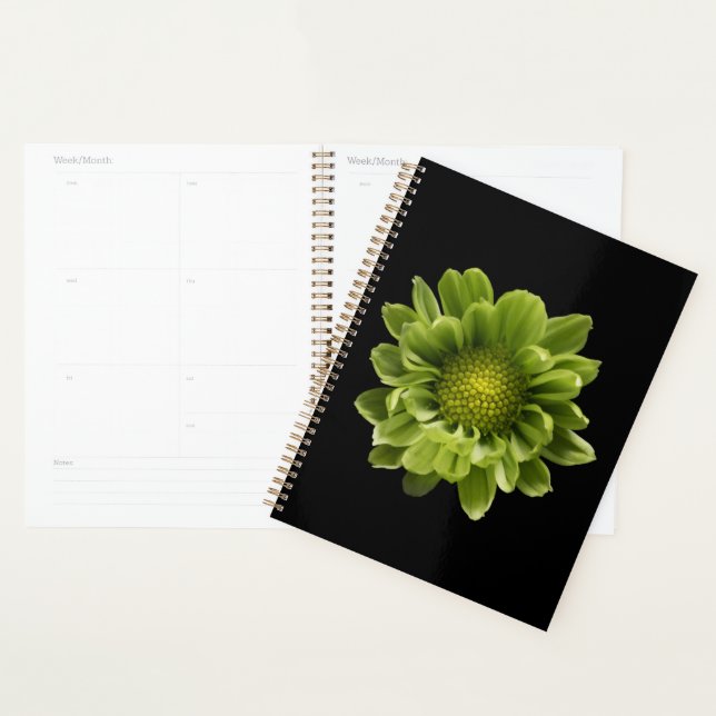 Flowers | Green Chrysanthemum Planner (Display)