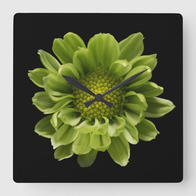 Flowers | Green Chrysanthemum Square Wall Clock (Front)