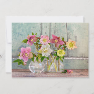 Flowers   Hellebores in Vases Thank You Card