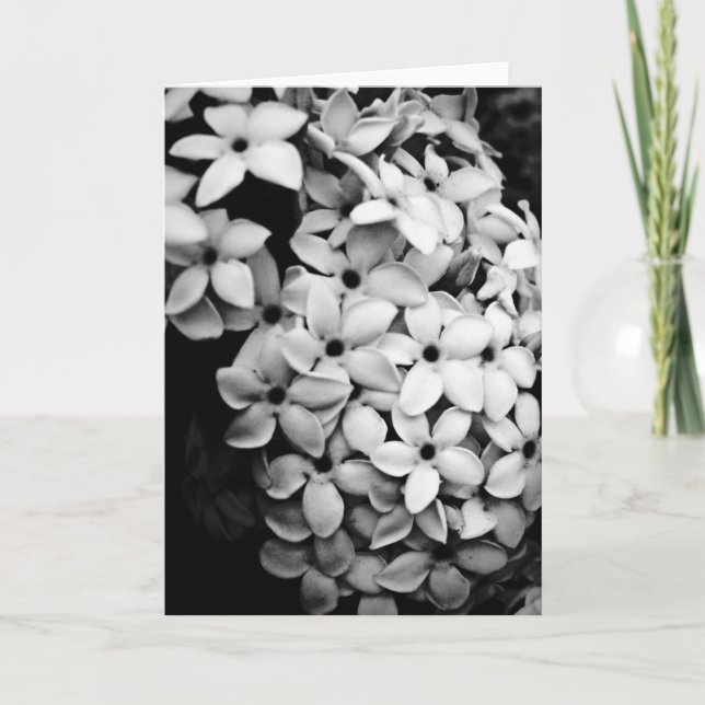 Flowers Holiday Card (Front)
