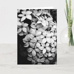 Flowers Holiday Card