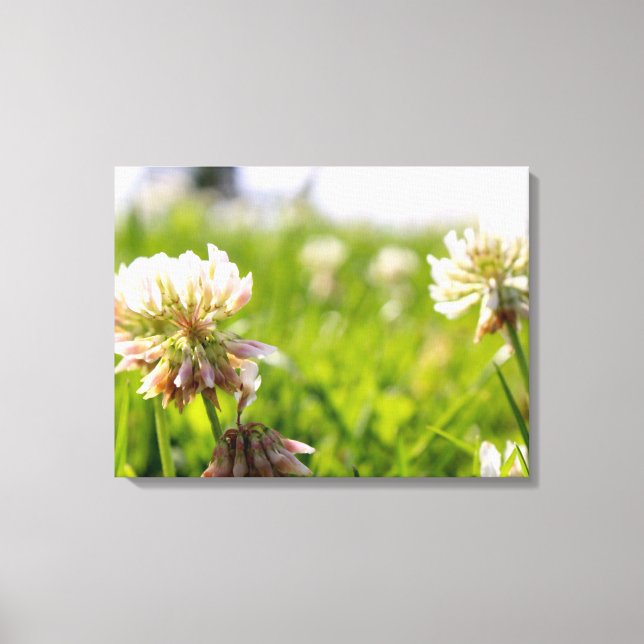 Flowers in a Field  Canvas Print (Front)