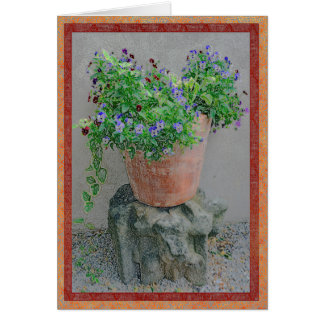 Flowers in a terra-cotta pot on rock