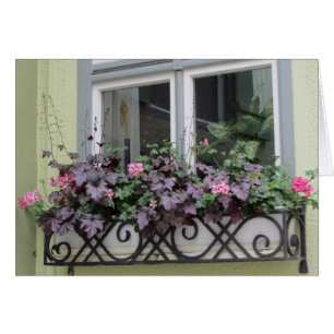 Flowers in a Window Box