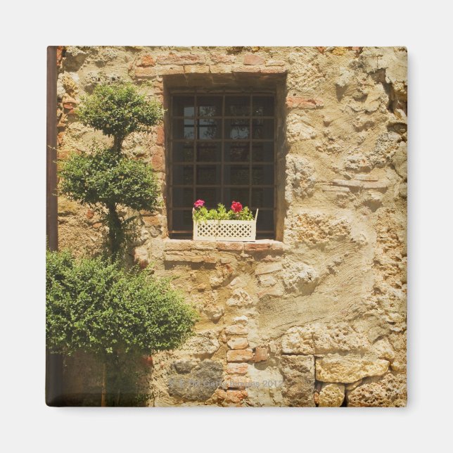 Flowers in a window box on a window sill, magnet (Front)