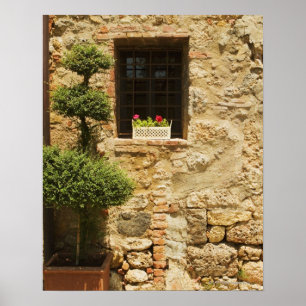 Flowers in a window box on a window sill, poster
