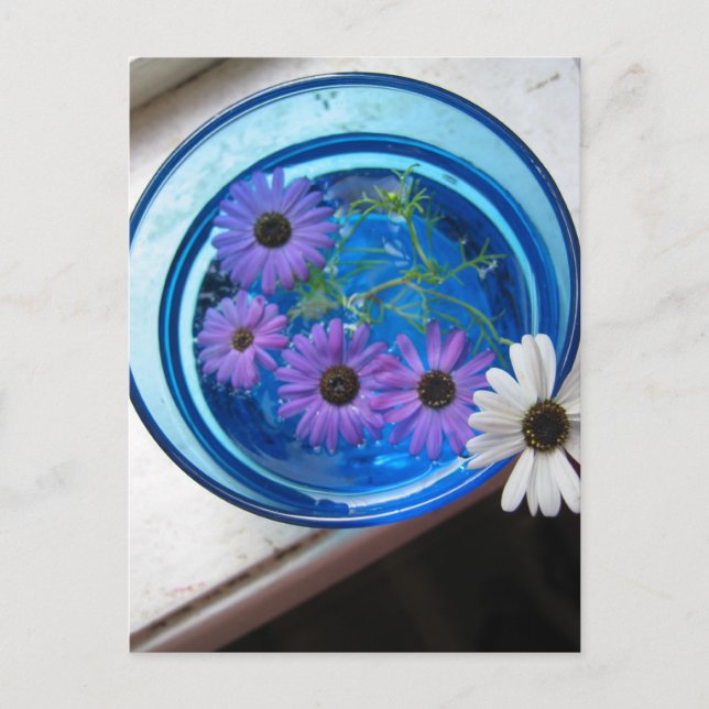 Flowers in Blue Pool Postcard (Front)