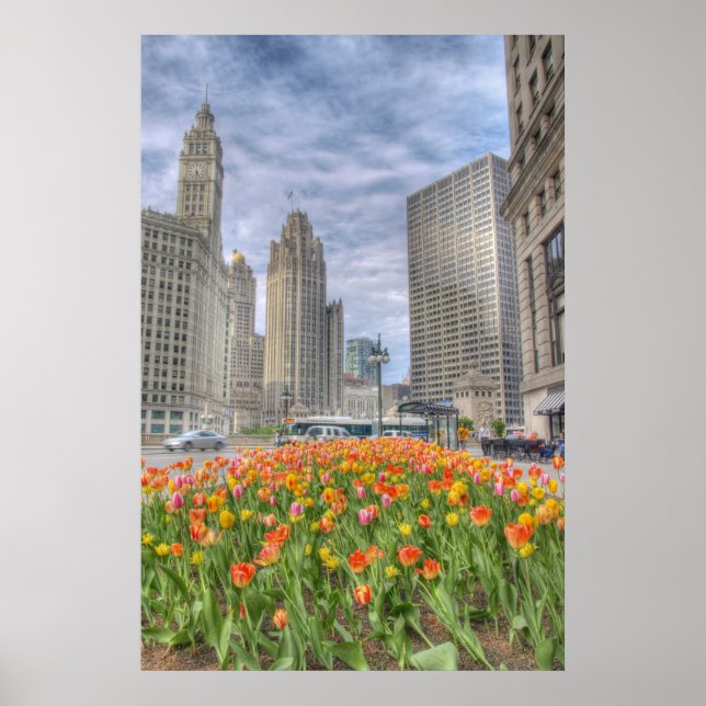 Flowers in Chicago Poster (Front)