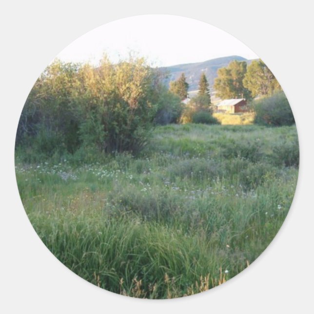 flowers in Colorado sticker (Front)