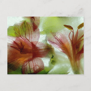 Flowers in ice postcard