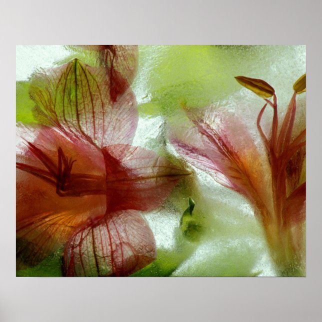 Flowers in ice poster (Front)