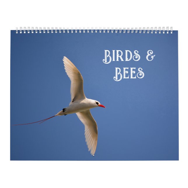 Flowers in Nature Calendar (Cover)