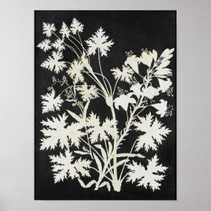 Flowers in Silhouette Poster