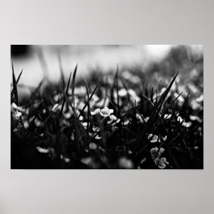 Flowers in the field in spring poster