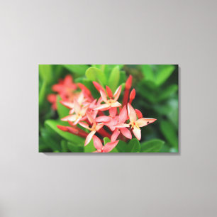 Flowers in the jungle canvas print