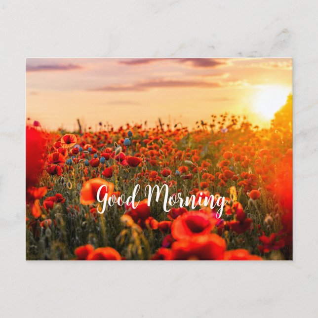 Flowers in The Morning Postcard (Front)