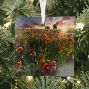 Flowers Indian Blanket Wildflower Texas Glass Tree Decoration