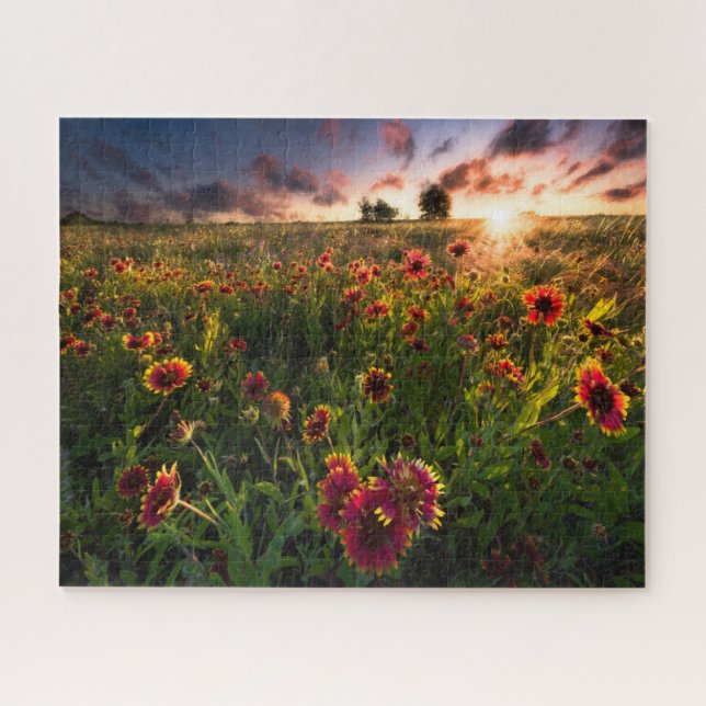 Flowers | Indian Blanket Wildflower Texas Jigsaw Puzzle (Horizontal)