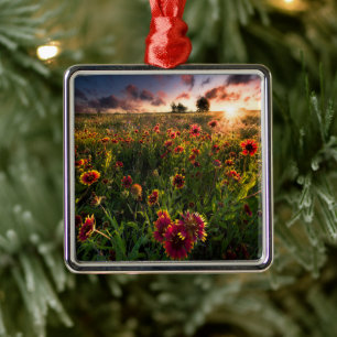 Flowers   Indian Blanket Wildflower Texas Metal Tree Decoration