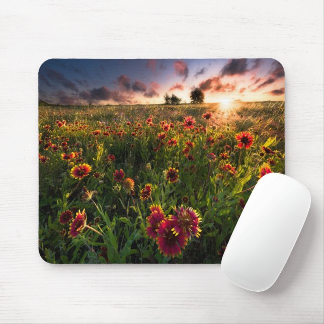 Flowers | Indian Blanket Wildflower Texas Mouse Mat (With Mouse)