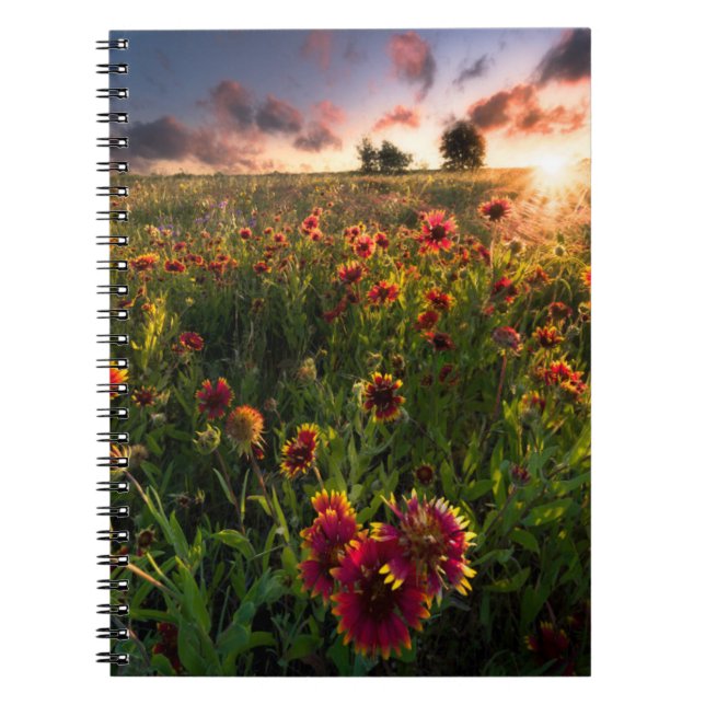Flowers | Indian Blanket Wildflower Texas Notebook (Front)