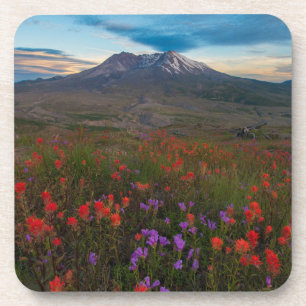 Flowers Indian Paintbrush & Penstemon Coaster