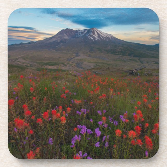 Flowers | Indian Paintbrush & Penstemon Coaster (Front)