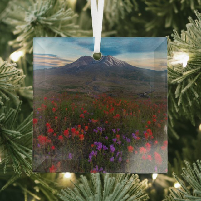 Flowers | Indian Paintbrush & Penstemon Glass Tree Decoration (Insitu)
