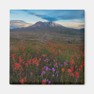 Flowers Indian Paintbrush & Penstemon Magnet