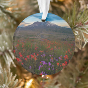 Flowers Indian Paintbrush & Penstemon Ornament
